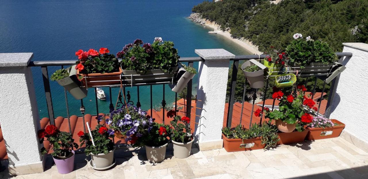 Apartment Leonarda Omis